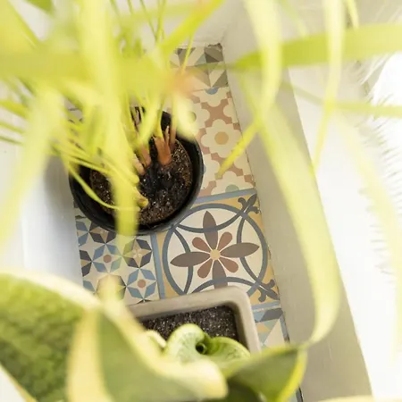 Seixal Bay Apartamento *